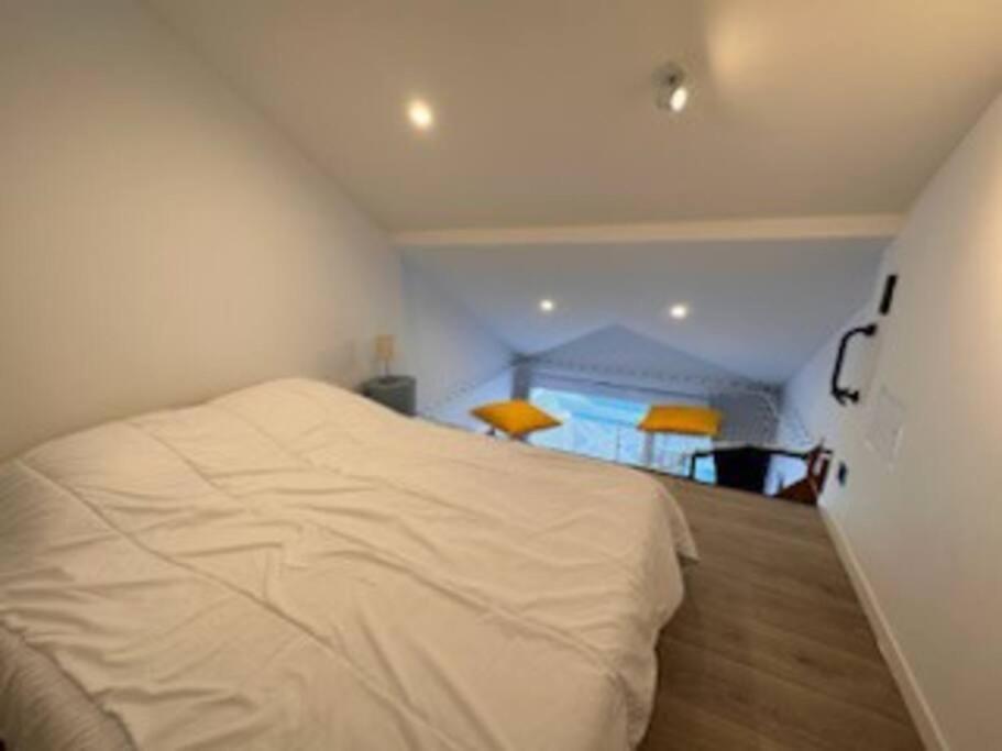 "Le Filet Du Lac" Appartement Atypique, 5 Personnes, Duplex, Vue Lac, Acces Parc Aquatique Gratuit Talmont-Saint-Hilaire Ngoại thất bức ảnh